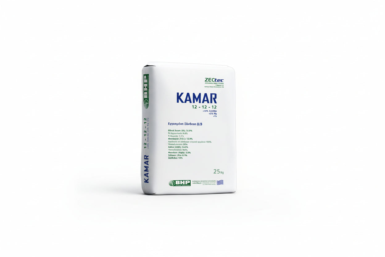 Kamar 12-12-12 SOP+NBPT